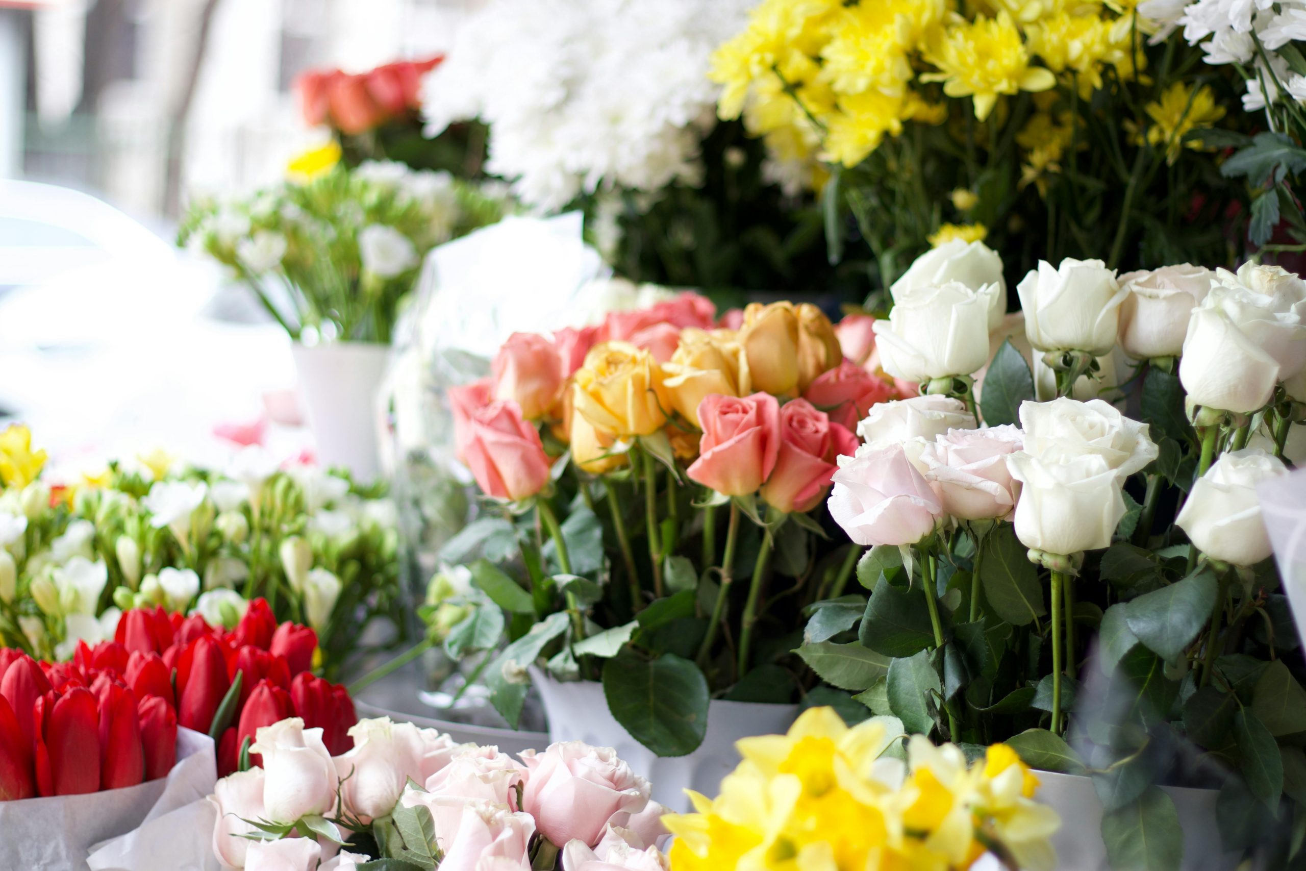 pexels-vlad-1445510816-31188739